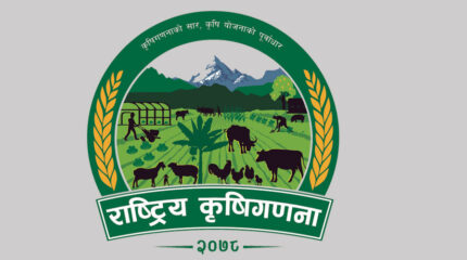 ६२ प्रतिशत नेपालीले गर्छन् खेतीपाती, यस्ता छन् कृषि गणनाका रोचक तथ्य