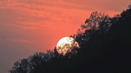 नयाँ वर्ष २०८१ सुरु