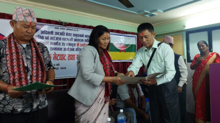 बाल संरक्षण कानुन स्पष्ट छैन : उपसभामुख