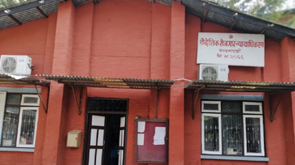 वैदेशिक रोजगार न्यायाधिकरणको अध्यक्षमा न्यायाधीश डाँगीलाई तोकियो