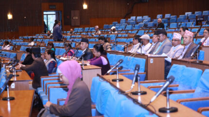 भूमिसम्बन्धी कानुन संशोधनको बहस : ‘गरिब, दलित र सुकुम्बासीका नाममा सरकारी जमिन भूमाफियाको हातमा नपुगोस्’