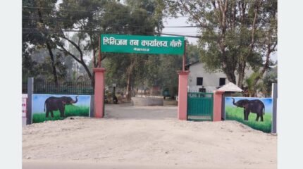 मुहार फेर्दै डिभिजन वन कार्यालय बाँके